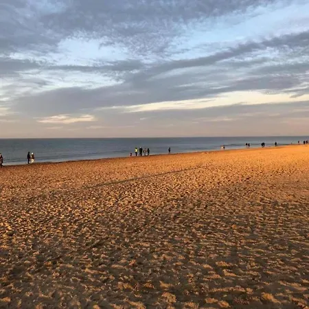 In Near The Sea, Cleaning Included Apartamento Koksijde