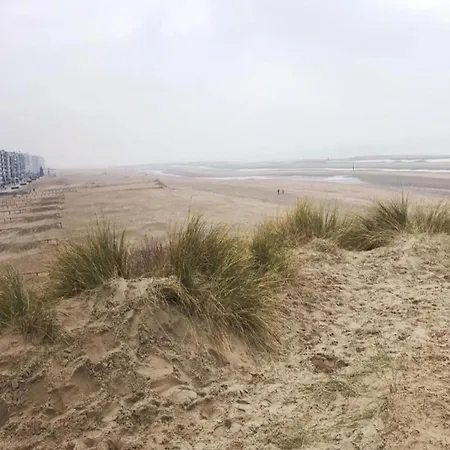 In Near The Sea, Cleaning Included Apartamento Koksijde