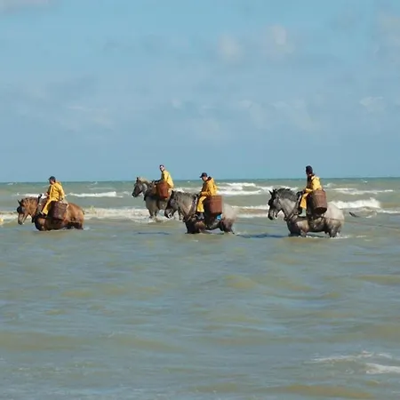 In Near The Sea, Cleaning Included