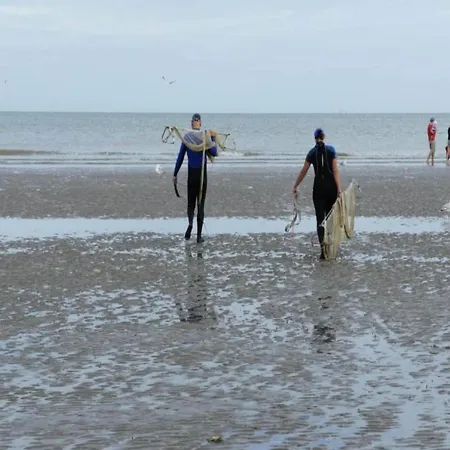 In Near The Sea, Cleaning Included Apartamento Koksijde